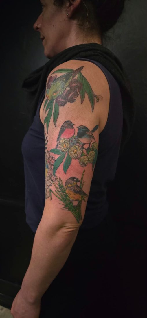 Colour half sleeve of Australian birds and gum blossom by Bruno at Hobart Tattoos