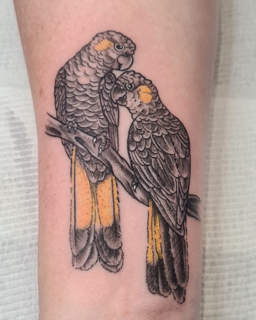Pair of yellow-tailed black cockatoos with yellow colour by Bruno at Hobart Tattoos