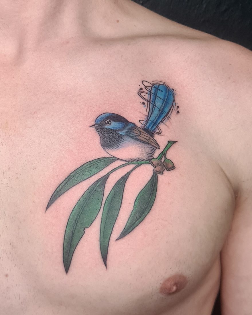 Colour superb fairy-wren on a gum branch by Bruno at Hobart Tattoos