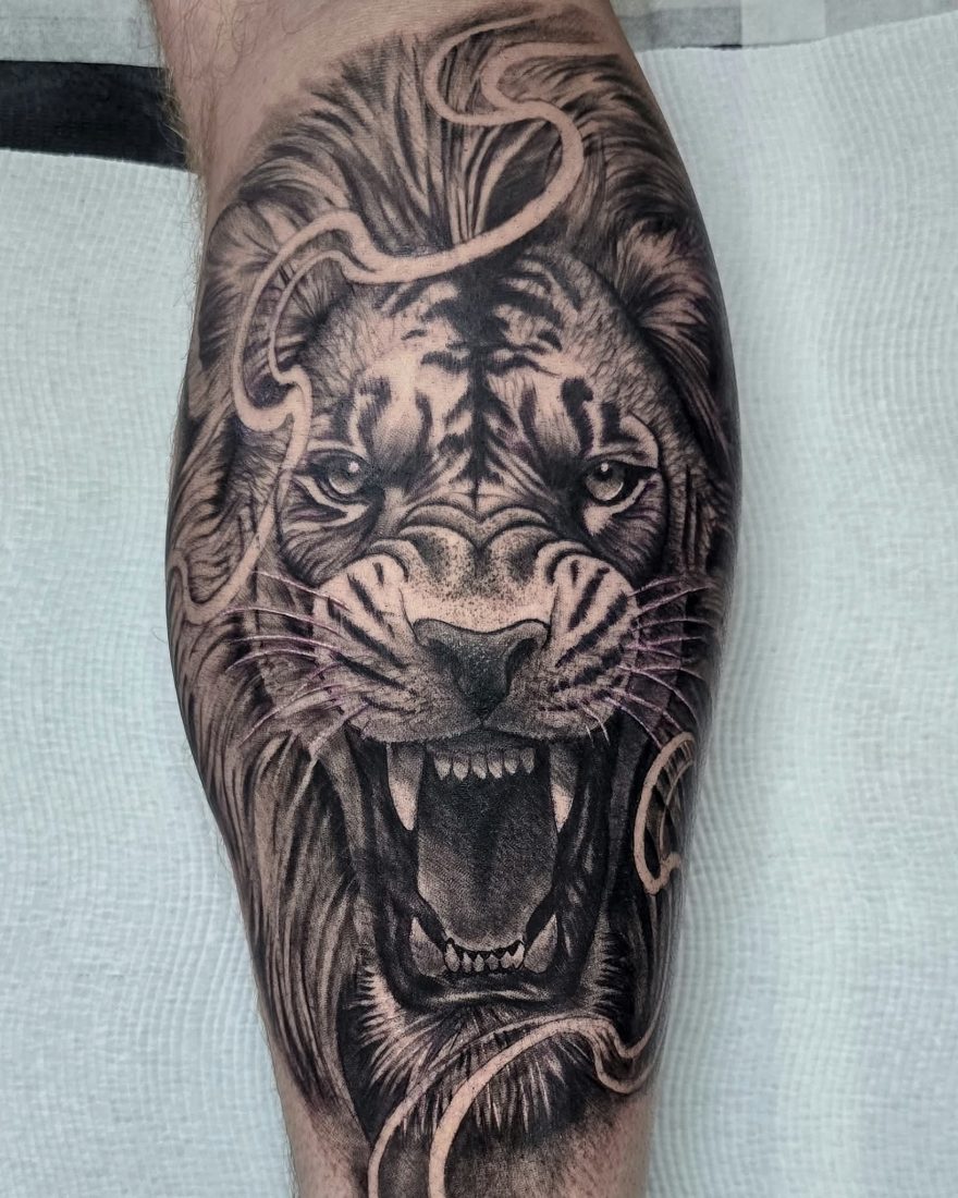 Black and grey realism roaring lion on the calf by Bruno at Hobart Tattoos